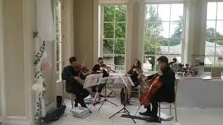 Endymion string quartet live - Wedding in Yorkshire