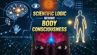 I Am Not This Body:How 84 Births Changed Our Consciousness & How to Reverse It