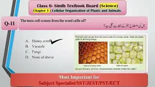 Secondary School Teacher Test Preparation |SPSC SST BPS16| Sindh Text Book Board MCQs|Science 6 Ch-1