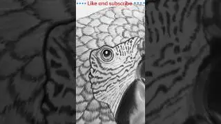wow parrot 🦜 तोता | #short #video #viral #drawing #creative