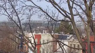 Capitol Hill Roof view