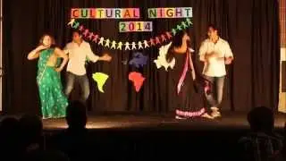 Cultural Night 2014 UNTHSC
