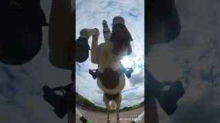 POV Horse jumps over you 😱