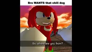 Sticks the Chinese Badger #sonic #memes