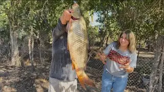 Nos fuimos a pescar y agarramos pescados gigantes 