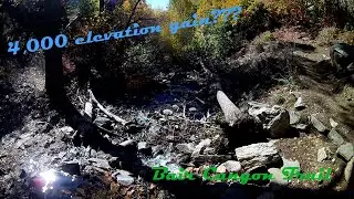 Baer (Bair) Canyon Trail in 7:35