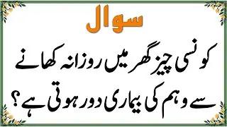 Amazing General Knowledge Question in Urdu | Paheliyan in Hindi | Urdu Quiz | Test our Brain #005