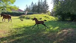 Porażki i niepowodzenia