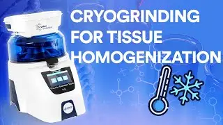 The key steps of cryogrinding with Precellys and Cryolys Evolution