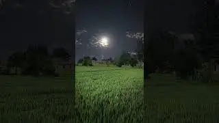 light moon night view #youtubeshorts
