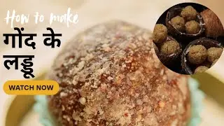 गोंद के लड्डू  (gond ke laddu) ✨