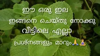 വീട്ടിലെ എല്ലാ പ്രശ്നങ്ങളും മാറും.. ഇങ്ങനെ ചെയ്തു നോക്കു🙏#shorts #astrology #peace #money #happy 