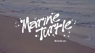 Marine Turtle | NCT DREAM Chenle.ver
