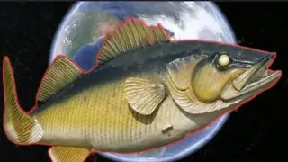 Willie the Walleye Statue on #googlemaps
