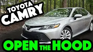 Toyota Camry: Open the Hood with the Hood Release Latch