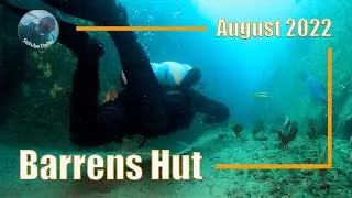 Why You Should Try Diving at Barrens Hut | Aug 2022