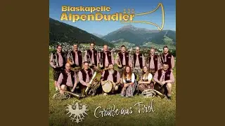 Wir leben Blasmusik