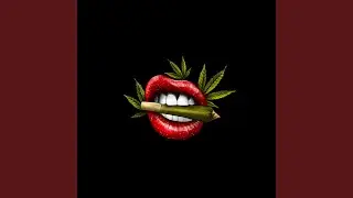 High Vibes
