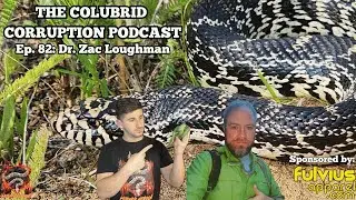 Hard Hobby Questions w/ an Academic - Dr. Zac Loughman | The Colubrid Corruption Podcast | Ep. 82