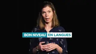 Présentation de la Licence LLCER, parcours Trilangue | Faculté des Langues