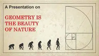 Geometry is the Beauty of Nature