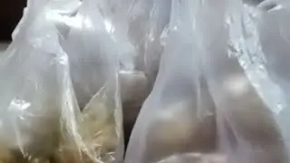 Di libur panjang