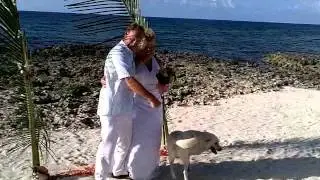 Pam and Daves wedding in Grand Cayman
