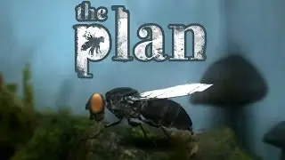 A fly's life ?  The Plan !  Very interesting Indie game