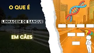 Tudo o que voc&ecirc; preciso saber sobre linhas de sangue