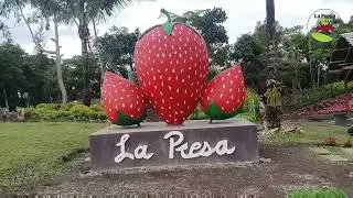 La Presa Strawberry Farm | Sergio Osme&ntilde;a | Zamboanga Del Norte