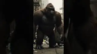 KING KONG'S DAILY LIFE VLOG: The Epic Rivalry Begins!