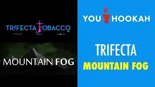 Trifecta Mountain Fog Shisha Review
