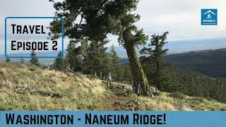 Naneum Mountain Biking - Naneum Ridge Connector 1 Mountain Bike Trail