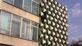 Ямакасі Jackass *WTF* TEAM (HD)