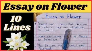 Essay on flower | 10 lines on flower | My favourite flower essay | @newinformed3141