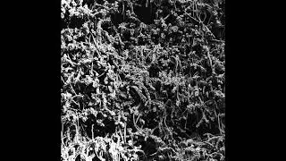 NECROPOLISSEBEHT - Chamber of Chains (taken from the album 