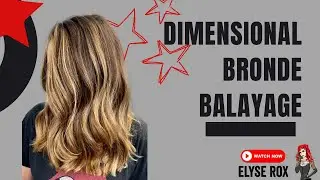 Dimensional Bronde Balayage #balayageeducation