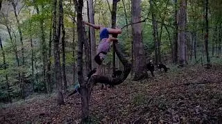 Corey Elyse, Muse Pole Fitness 2020 Virtual Showcase