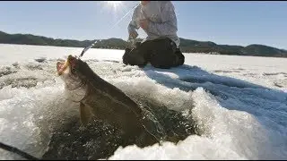 Hammering Colorado Lake Trout at a Rarely Frozen Lake Due to Fluctuation