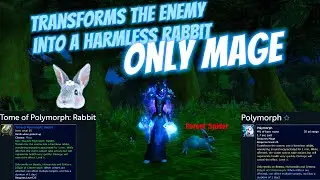 Tome of Polymorph: Rabbit | Sold by Noblegarden Vendor | Polymorph transforms the enemy into rabbit