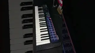 Teclado CASIO CA 110