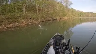 Bass Fishing Burr Oak Lake Ohio.......Multiple Species Caught!