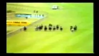 1979 Stewards Cup Goodwood. Standaan.mpg