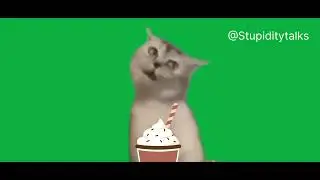 Cat drinking Coffee #trending #instagram #meme