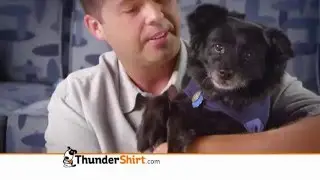 Thundershirt for dogs | Pharmacy4pets.com