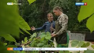 Дача на Россия1(виноград) Мой канал в Дзен https://dzen.ru/id/66b48dcfec535d1ef9d24fd8?share_to=link