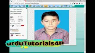 online image background transparent maker free no WaterMark