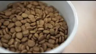 Visiting Burns Pet Nutrition