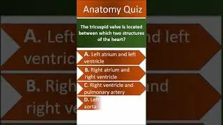 Anatomy Quiz