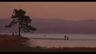 Arcata Marsh / Humboldt Bay Postcard